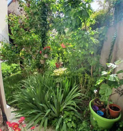 Appart Rez De Jardin Dijon Extérieur photo
