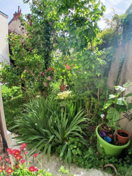 Rez De Jardin Apartment Dijon